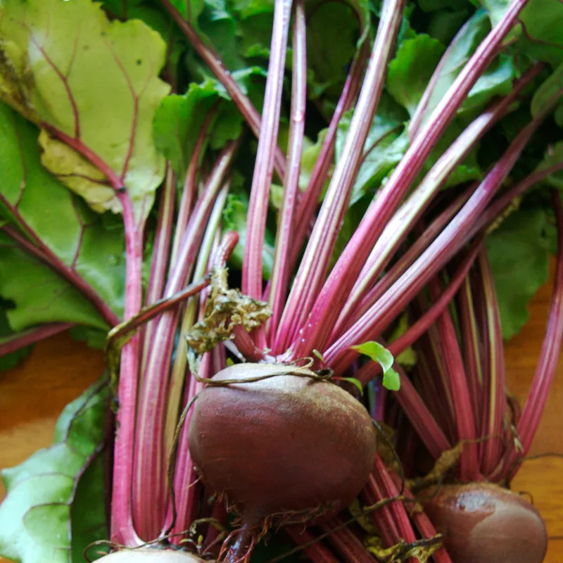 Beet Root