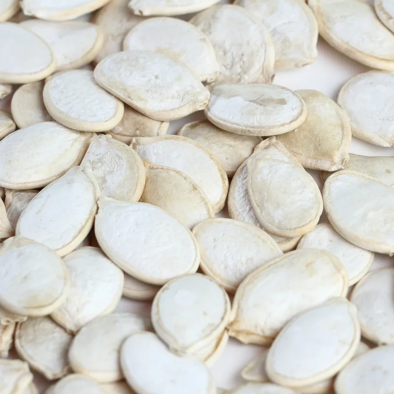 Pumpkin Seed